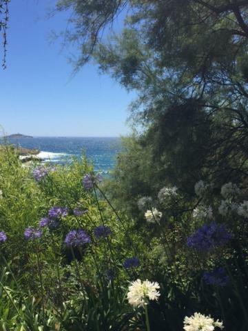 Sanary Daire Dış mekan fotoğraf